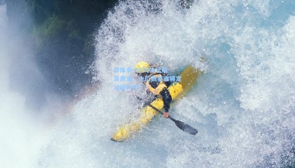 华体会-2025体坛后浪奔涌，十位新星谁将定义新时代？